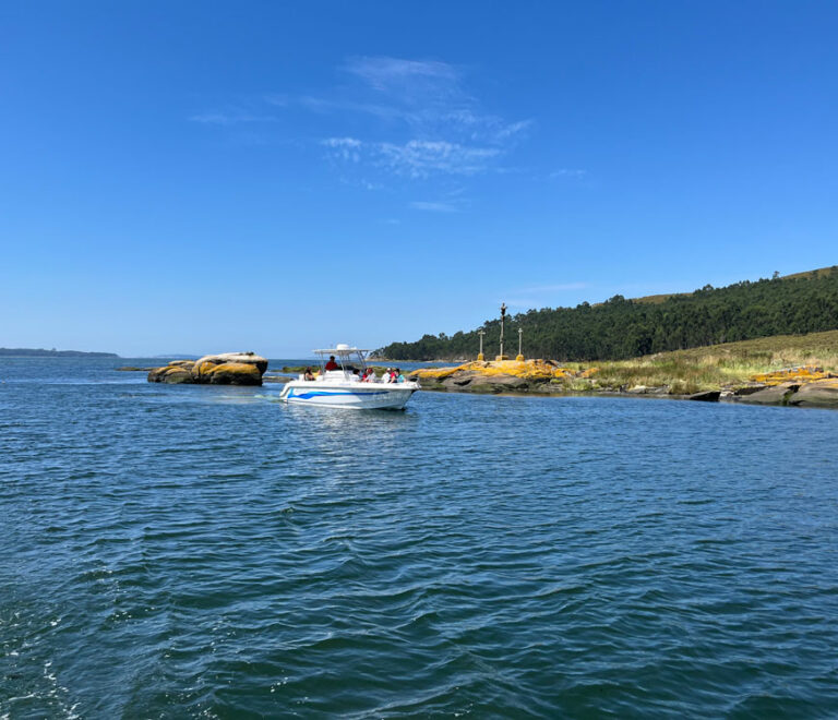 Barco Variante Espiritual